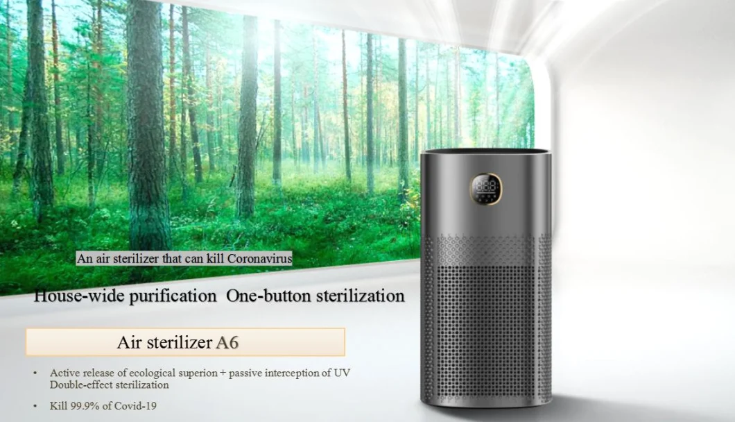 Negative Ion Air Purifier with H13 Anti Virus HEPA Filter